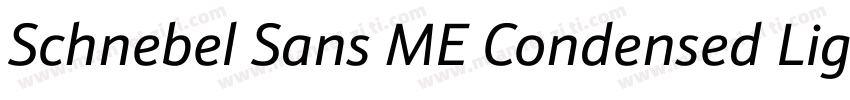 Schnebel Sans ME Condensed Light字体转换